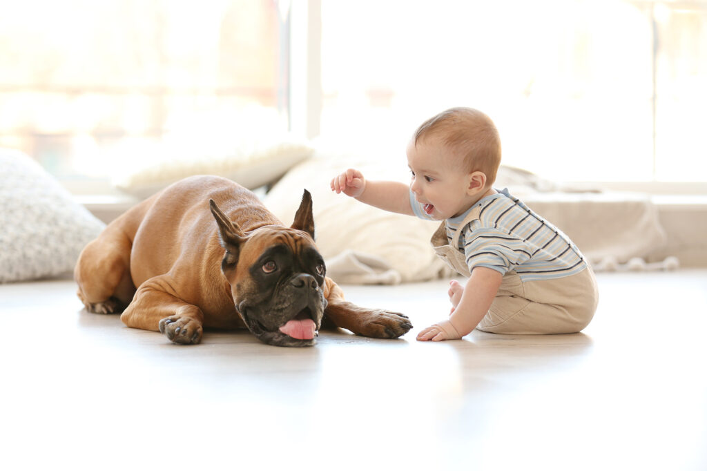 Is laminate durable enough for homes with pets